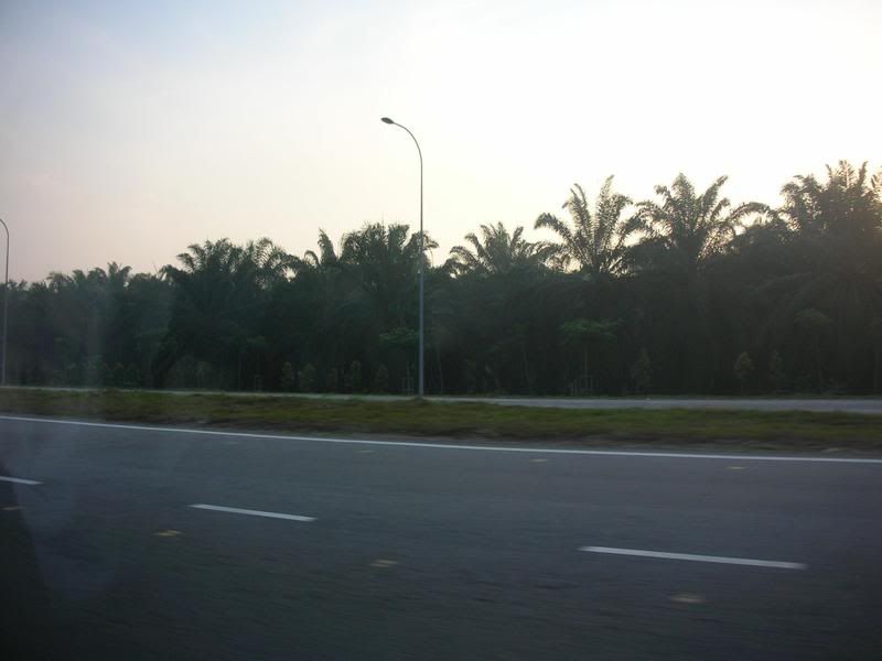 On the road to Senai Airport