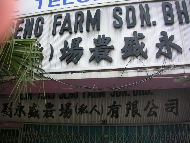 Seng Farm