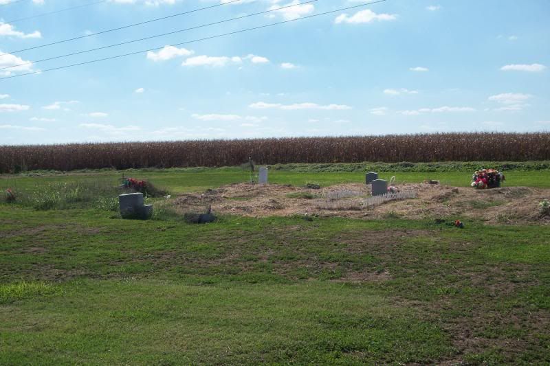photo wideangle2.jpg