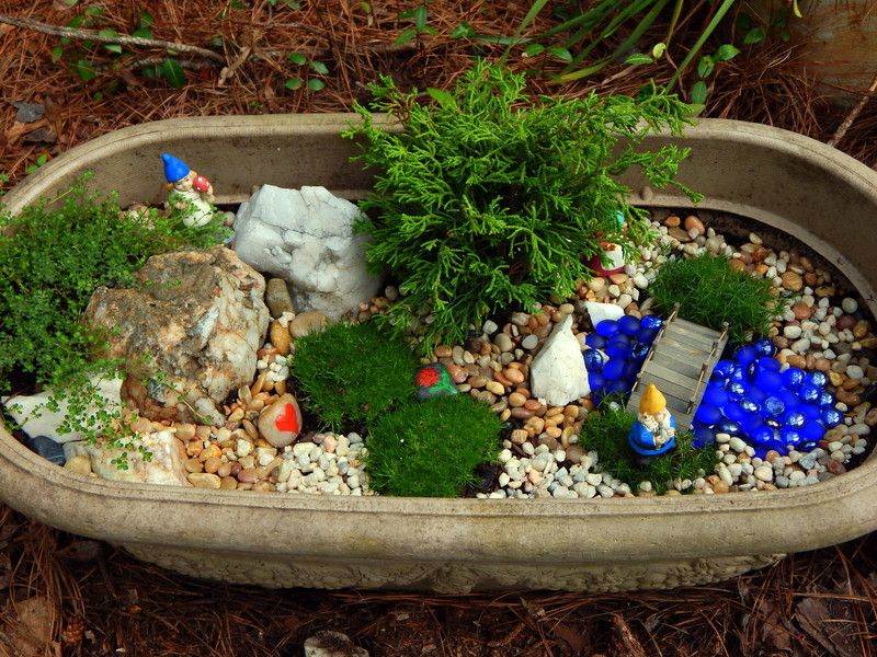 photo 06 04 2015 gnome garden3.jpg