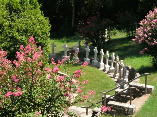 photo GEDC0187.jpg
