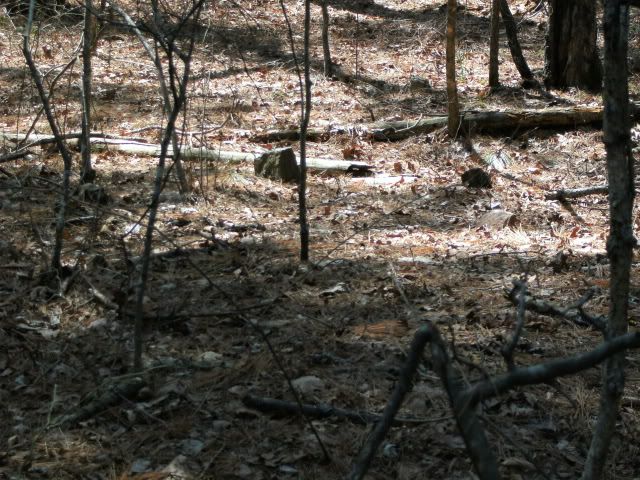 Grave stones