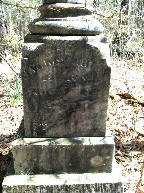 John W McCarley