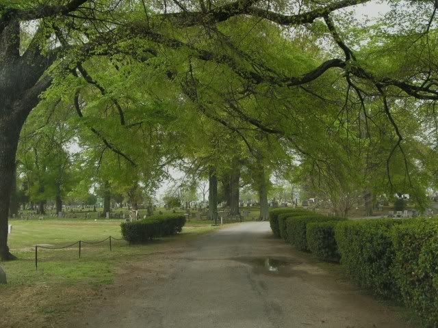 photo GEDC0106.jpg