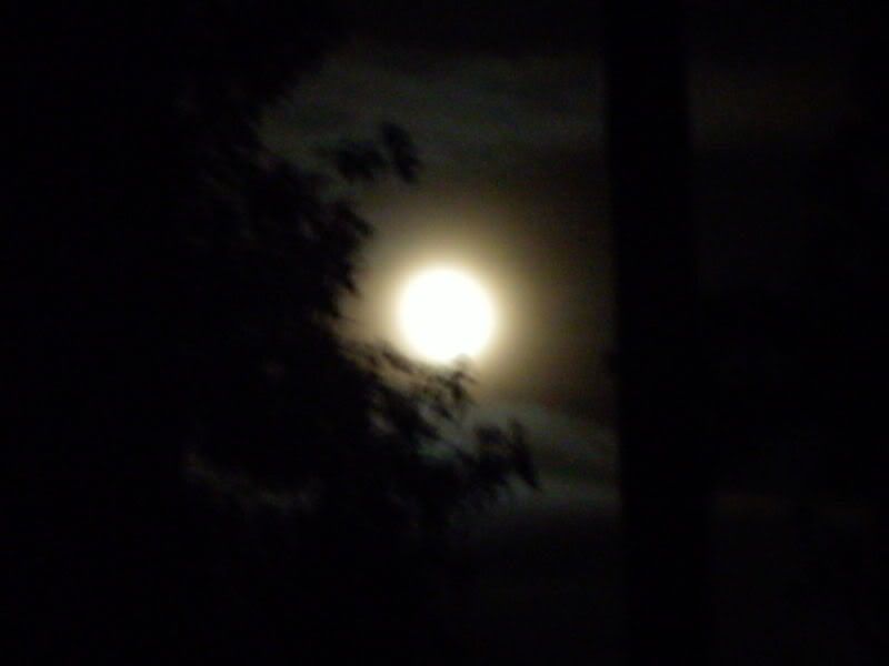 Moon in the clouds