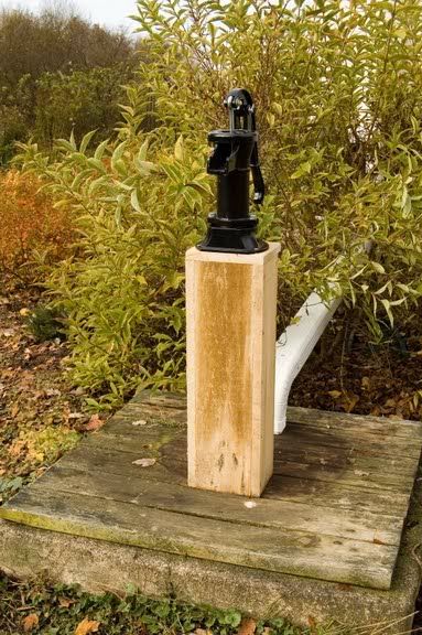 Pictures around your Homestead - Homesteading Questions