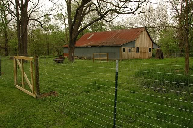 Pictures around your Homestead - Homesteading Questions