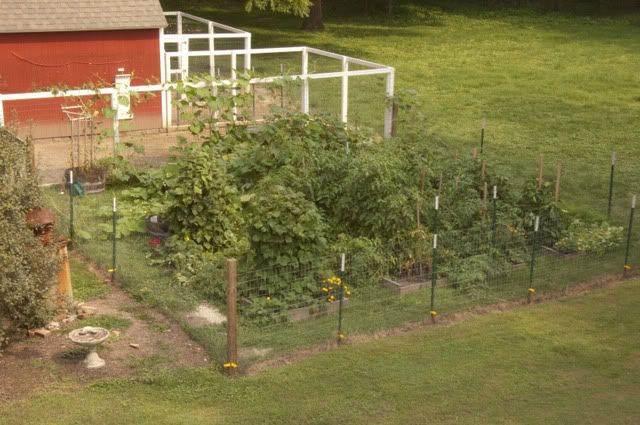 Pictures around your Homestead - Homesteading Questions