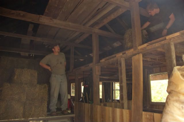 Pictures around your Homestead - Homesteading Questions