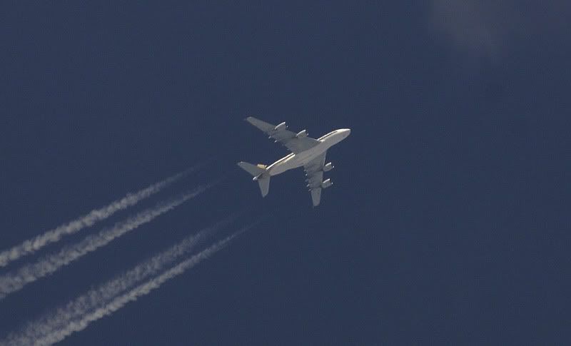 [img width=800 height=485]http://i3.photobucket.com/albums/y70/amg_gijs/_DSC1427.jpg[/img]