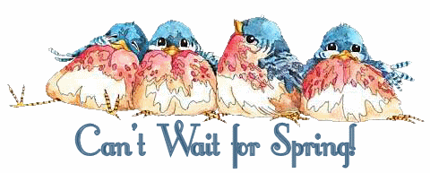 Spring Birds