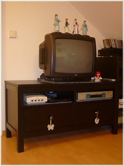 http://i3.photobucket.com/albums/y71/ForestDiarySnapshots/PhotoShots11/2011-03-29-TiaHeimTVBank.jpg