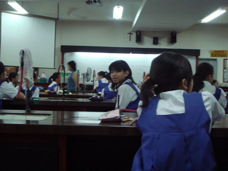 Photo Sharing and Video Hosting at Photobucket