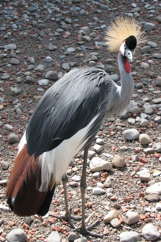 IMAGE: http://i3.photobucket.com/albums/y71/wdwmom2/20070915003-1.jpg