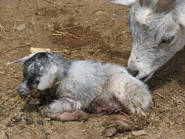 IMAGE: http://i3.photobucket.com/albums/y71/wdwmom2/20070915014-1.jpg