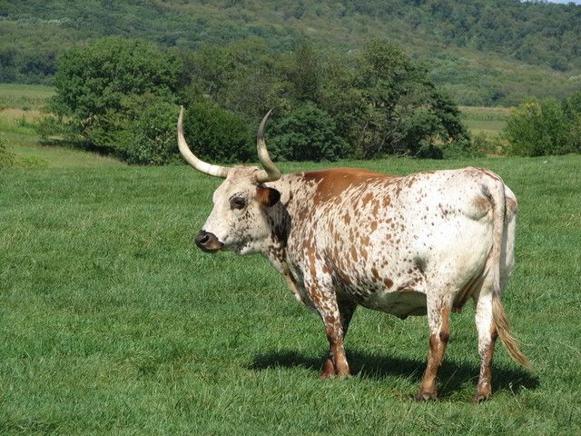 IMAGE: http://i3.photobucket.com/albums/y71/wdwmom2/20070915101.jpg