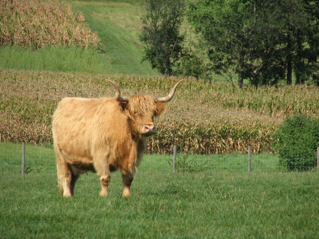 IMAGE: http://i3.photobucket.com/albums/y71/wdwmom2/20070915110_edited-1.jpg