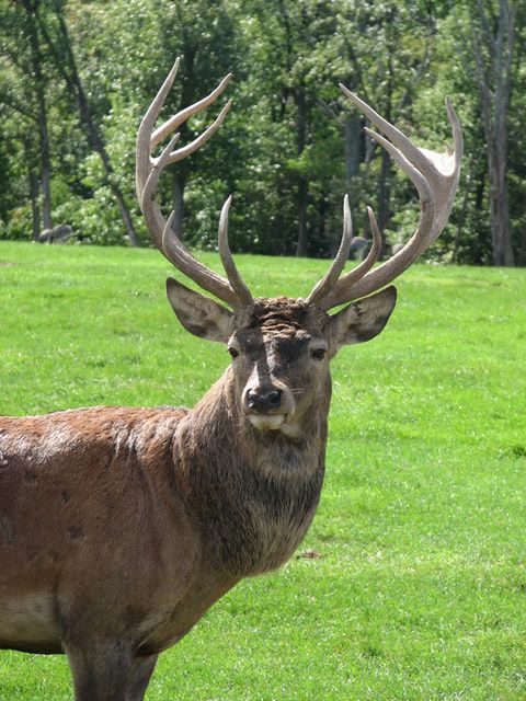 IMAGE: http://i3.photobucket.com/albums/y71/wdwmom2/20070915149_edited-1.jpg