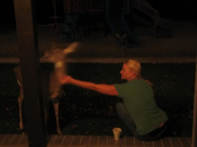 IMAGE: http://i3.photobucket.com/albums/y71/wdwmom2/20071021389_filtered.jpg