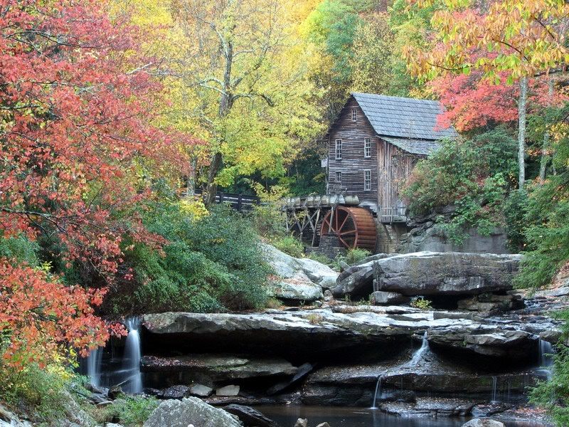 IMAGE: http://i3.photobucket.com/albums/y71/wdwmom2/20071118019.jpg