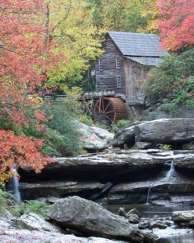 IMAGE: http://i3.photobucket.com/albums/y71/wdwmom2/Copyof20071021122_edited-1.jpg