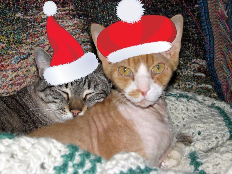 IMAGE: http://i3.photobucket.com/albums/y71/wdwmom2/IMG_0920_edited-2-1.jpg