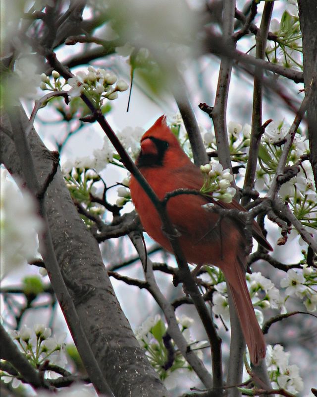 IMAGE: http://i3.photobucket.com/albums/y71/wdwmom2/IMG_2288_edited-1.jpg