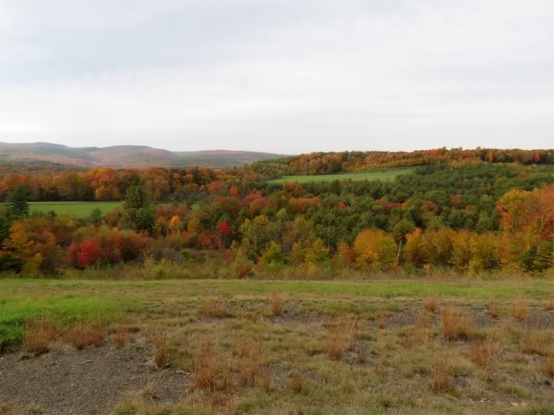 IMAGE: http://i3.photobucket.com/albums/y71/wdwmom2/UpstatePA2011068-2.jpg