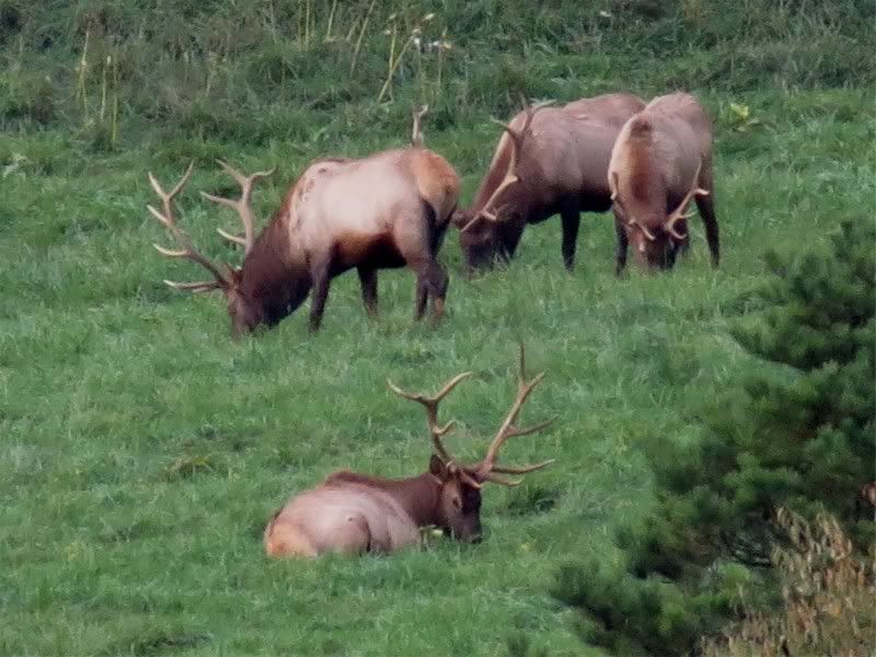 IMAGE: http://i3.photobucket.com/albums/y71/wdwmom2/UpstatePA2011076-2.jpg