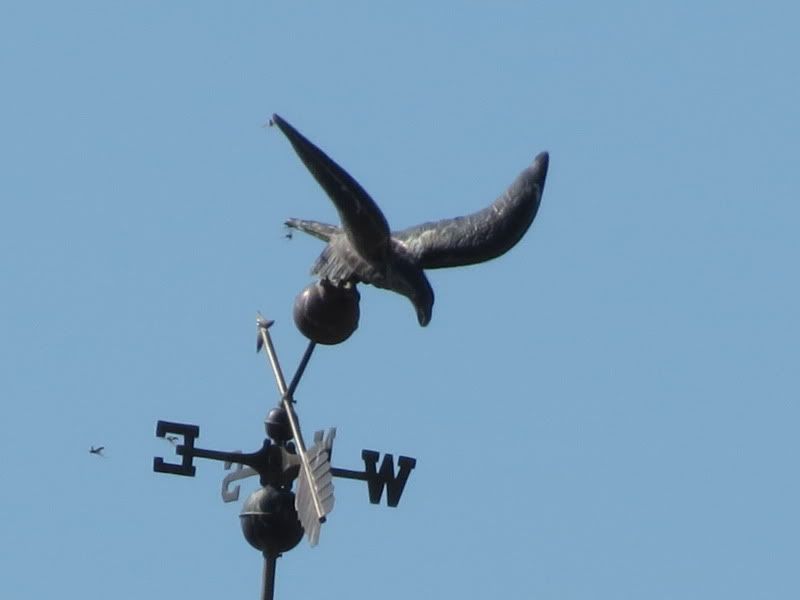 IMAGE: http://i3.photobucket.com/albums/y71/wdwmom2/test002.jpg