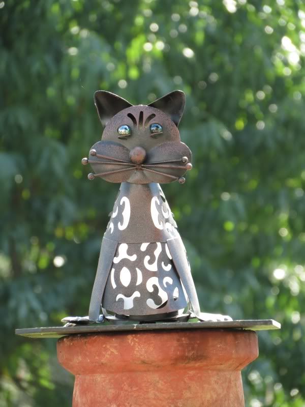 IMAGE: http://i3.photobucket.com/albums/y71/wdwmom2/test014.jpg