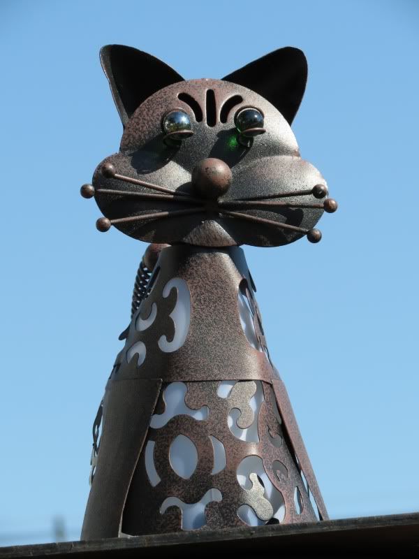 IMAGE: http://i3.photobucket.com/albums/y71/wdwmom2/test019.jpg