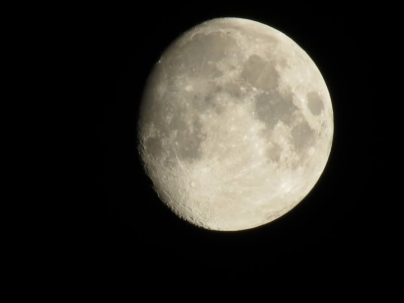 IMAGE: http://i3.photobucket.com/albums/y71/wdwmom2/test052.jpg