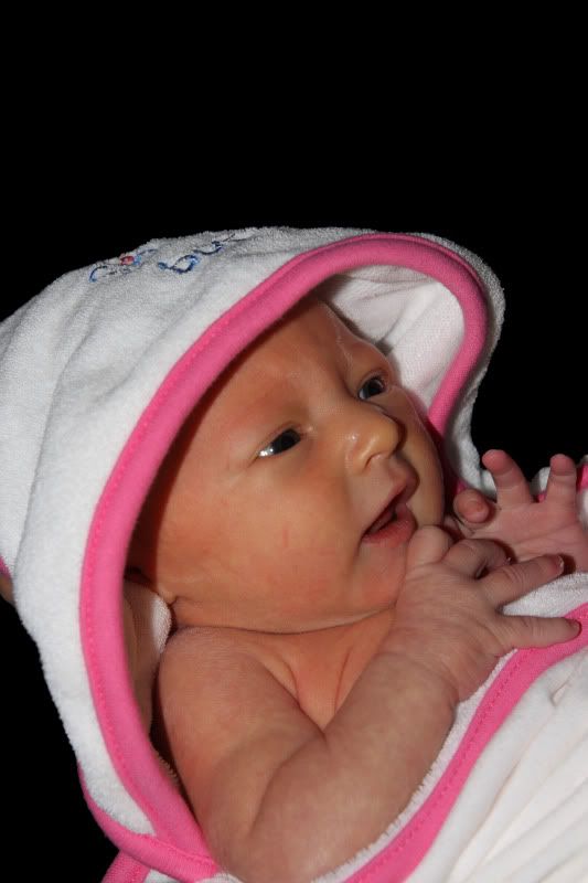 IMAGE: http://i3.photobucket.com/albums/y72/90blackcrx/IMG_0015.jpg