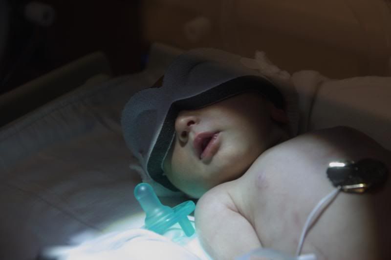 IMAGE: http://i3.photobucket.com/albums/y72/90blackcrx/IMG_9911.jpg