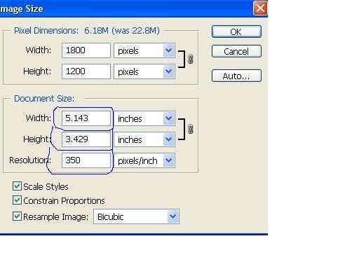 IMAGE: http://i3.photobucket.com/albums/y72/90blackcrx/siz.jpg