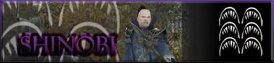 shinobi1231.jpg