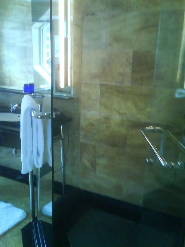 The Shower Room