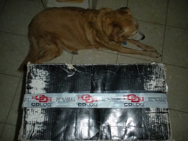 DSCN1816-1.jpg