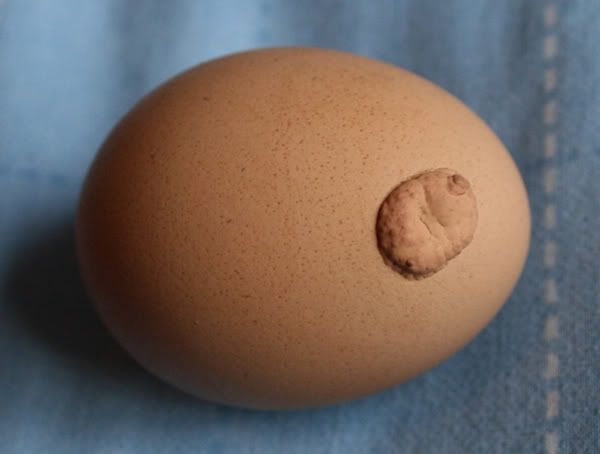 egg.jpg