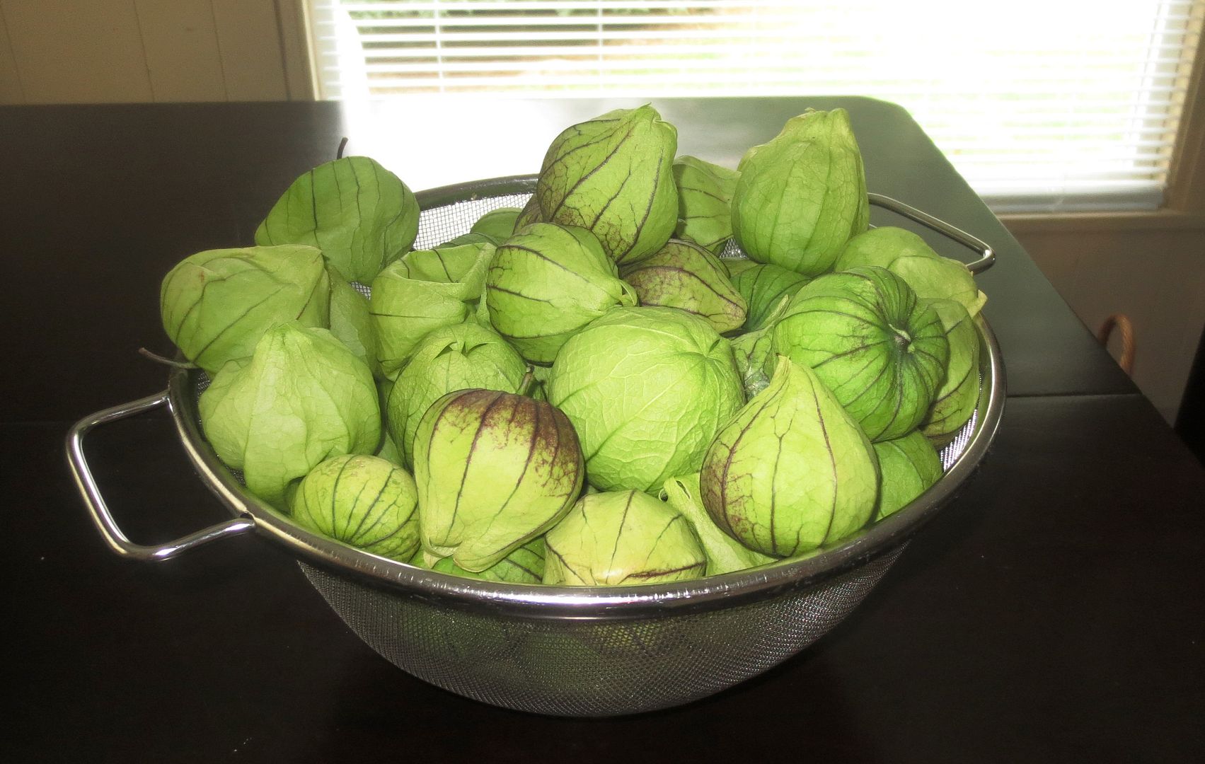 [Image: Oct%202%20First%20crop%20Tomatillos_zpsjzzhl30p.jpg]