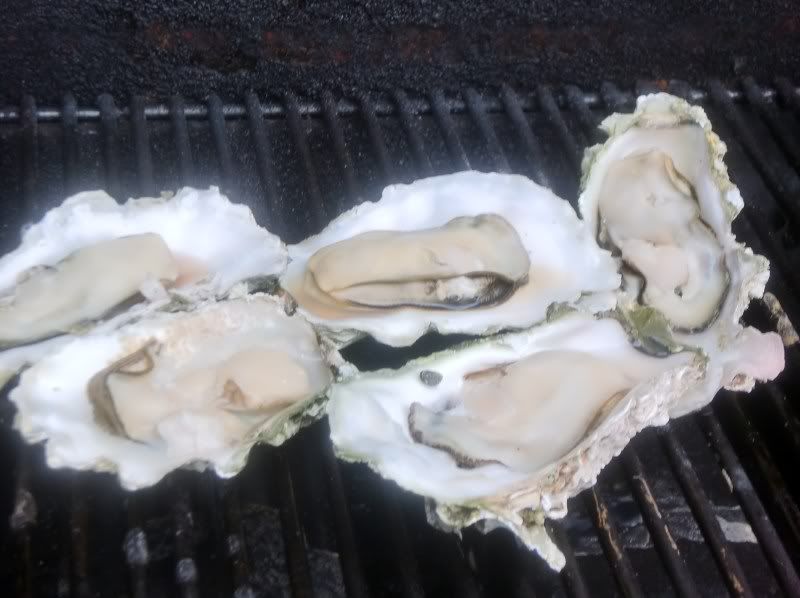 [Image: Oysters-1.jpg]