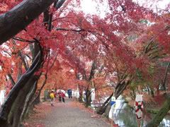 Image hosted by Photobucket.com