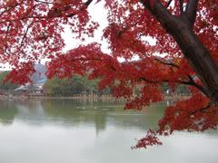 Image hosted by Photobucket.com