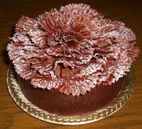 Image hosting by Photobucket