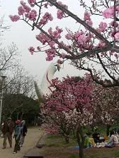 Image hosting by Photobucket