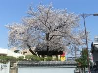 Image hosting by Photobucket