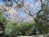 Image hosting by Photobucket