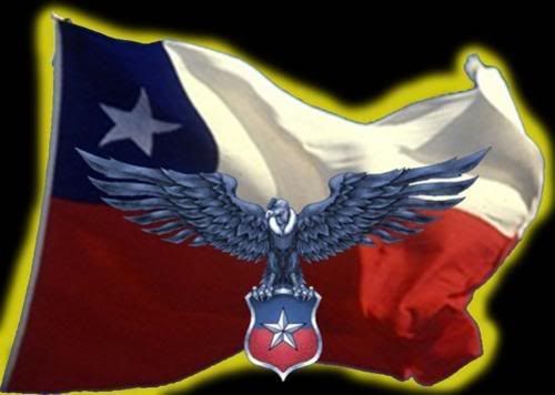 Flag_of_Chile.jpg