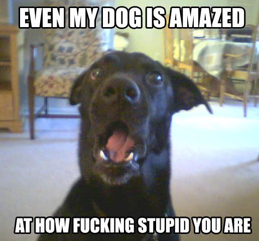 stupid.jpg